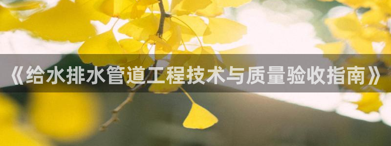威九国际服