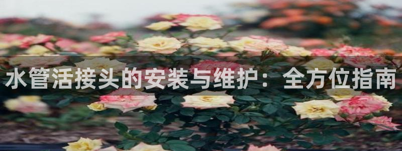威九国际h5