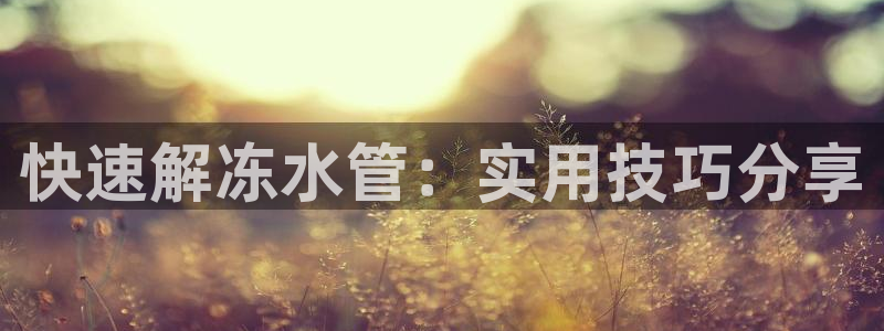 威九国际免费