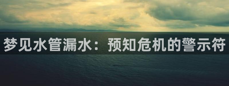 威九国际网站链接怎么打开