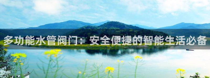 威九国际v8
