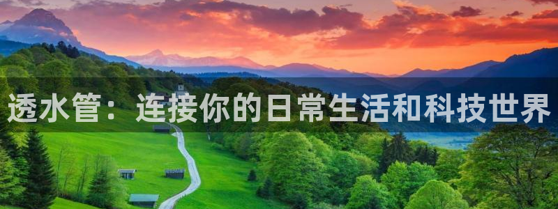 威九国际电影HD