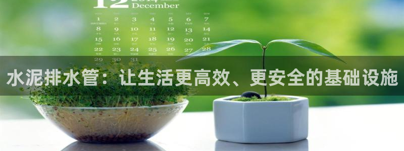 威九国际网站怎么样知乎