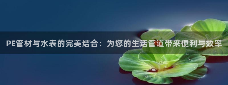 威九国际网站客服电话多少