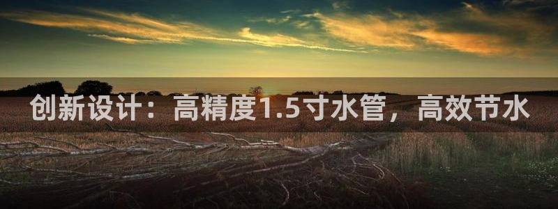 威九国际网站入口地址