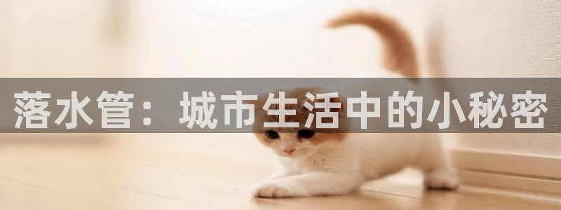 威九国际网站客服电话多少号