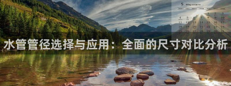 威九国际fX8x