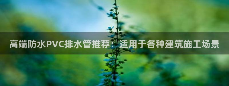 威九国际PPT