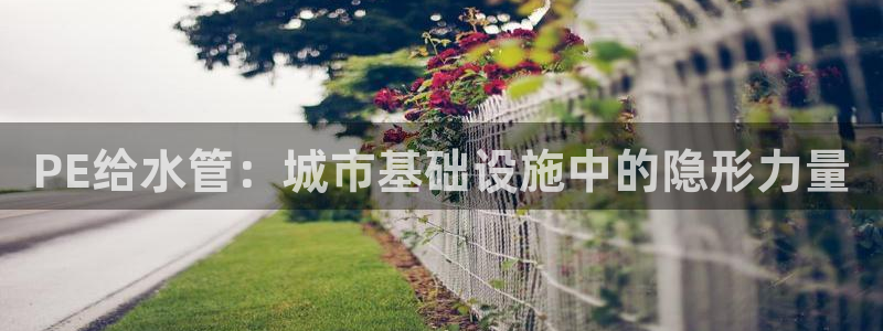 威九国际ft
