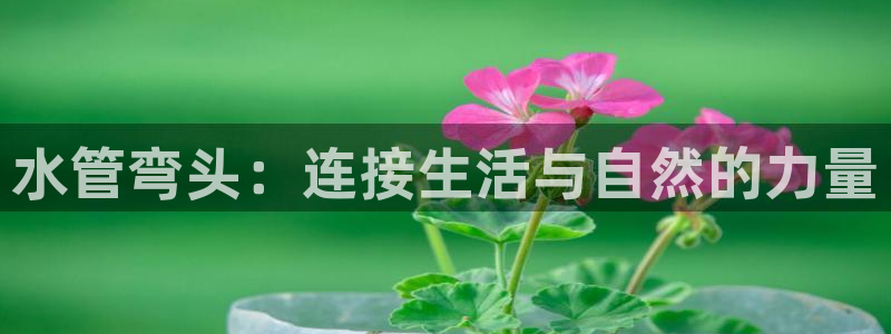 威九国际v96bet官网版