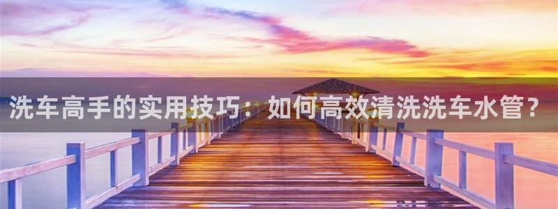 威九国际APP那个地方