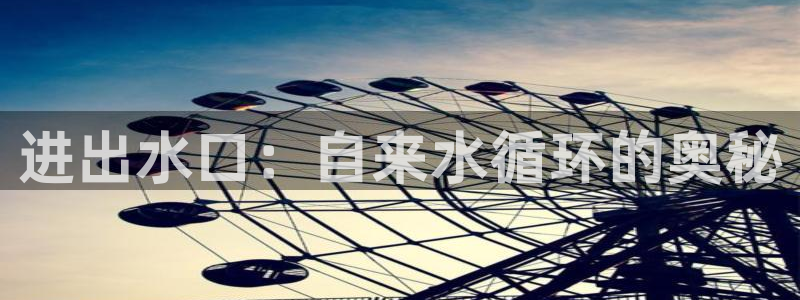 威九国际动漫