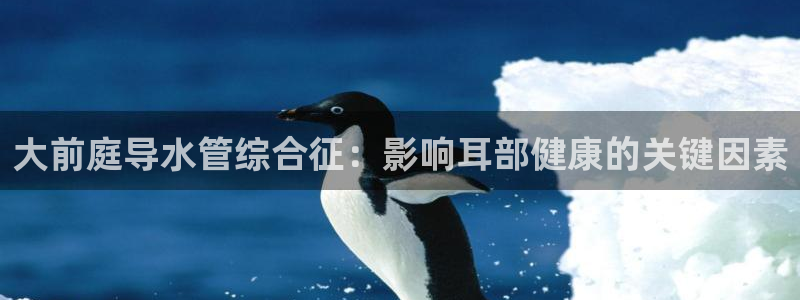 威九国际空降服务怎么样