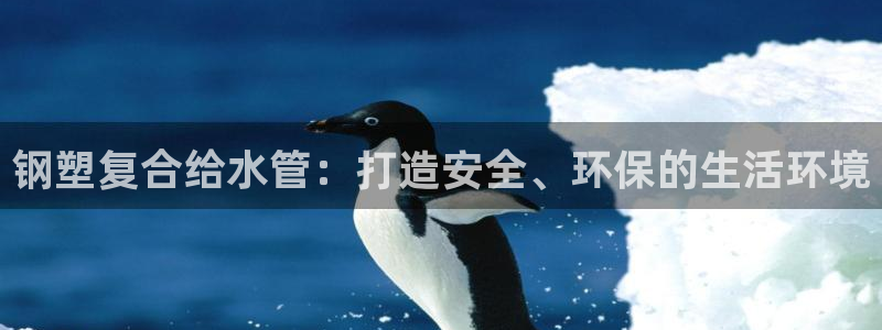 威九国际app大全下载安装