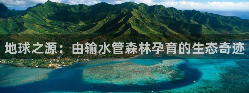 威九国际top