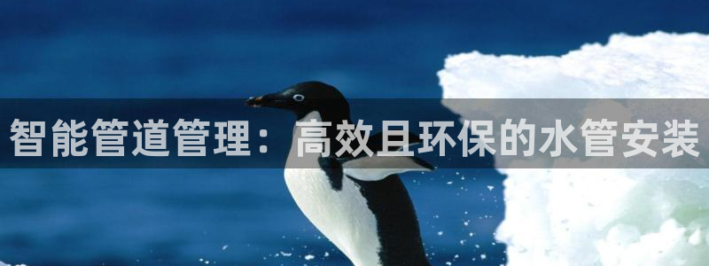 78mapp威九国际最新版