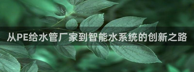 威九国际女