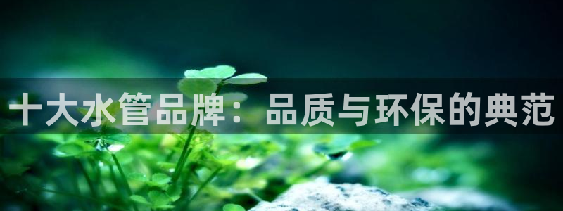 威九国际取款机怎么取
