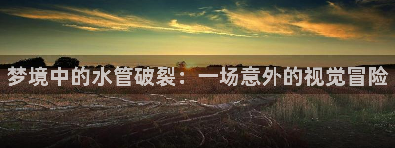 威九国际可以提现吗