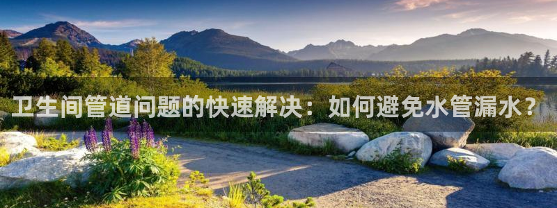 威九国际网站链接怎么打开