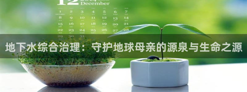 威九国际网站入口地址查询