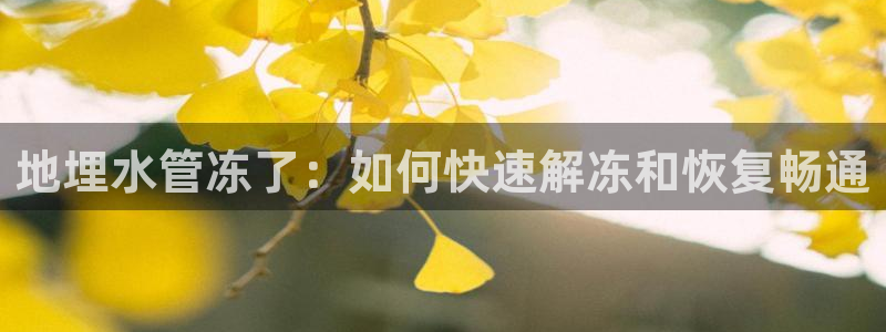 威九国际集团66m一6