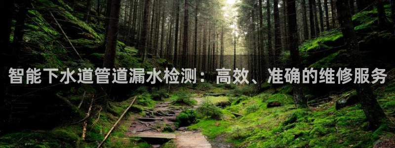 威九国际网站入囗