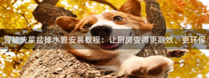 威九国际78mb官网