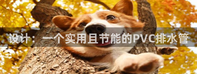 威九国际66m66模式视频