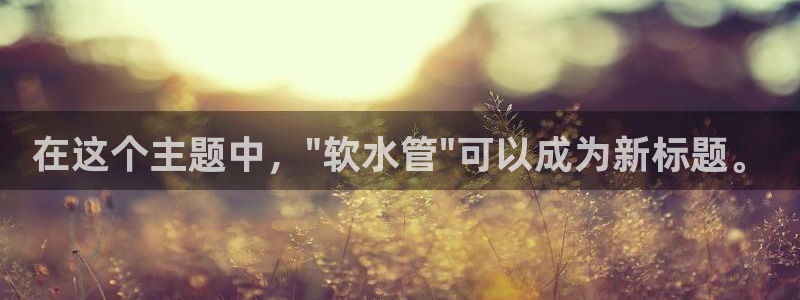 威九国际留学