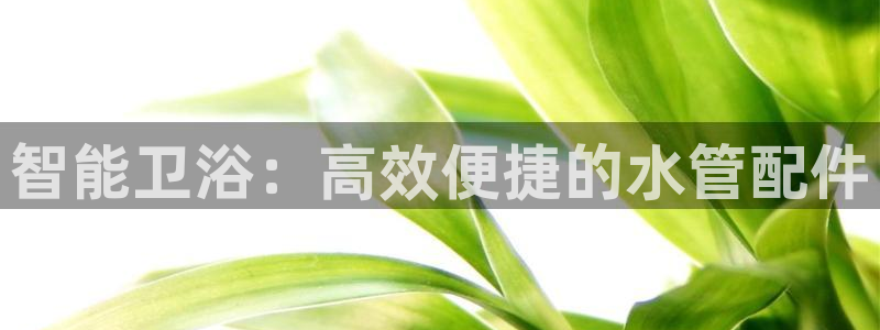 威九国际v96BET