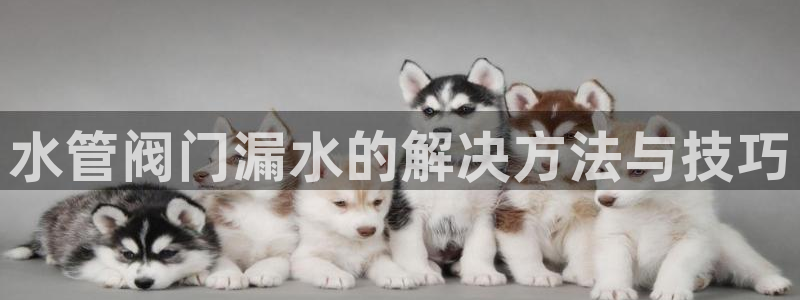 威九国际v96 bet会黑吗