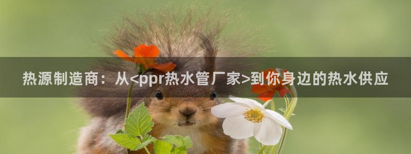 威九国际网站更新了吗