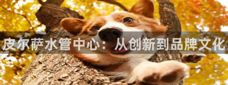 威九国际精甜心诗词网彩片甜心网甜心诗词网