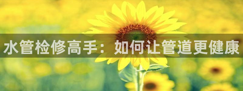 威九国际精彩视频2022年