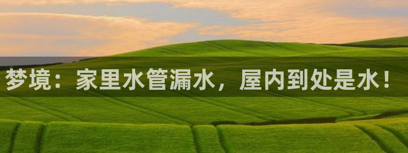 威九国际MV