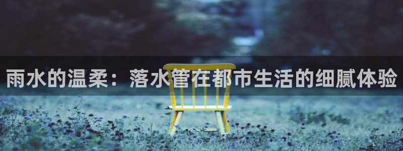 威九国际观看