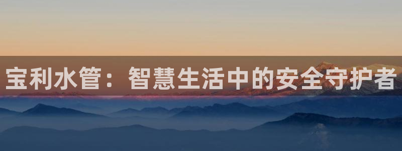 威九国际X8