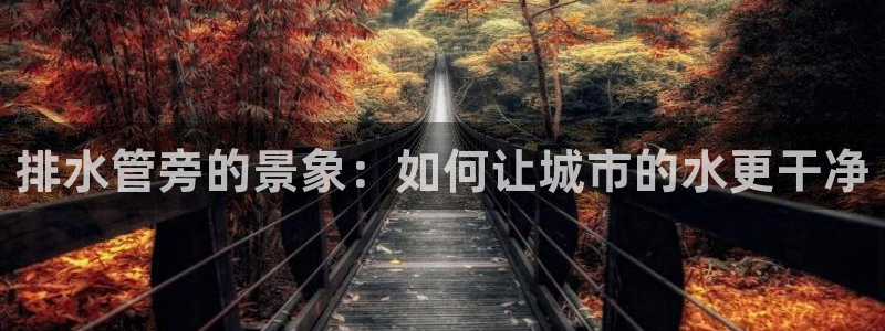 威九国际A
