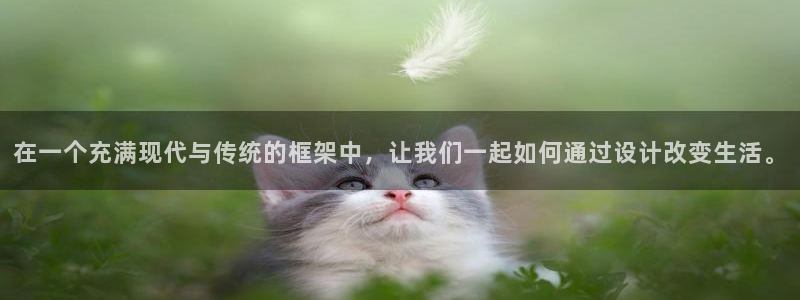 威九国际的金融服务有哪些