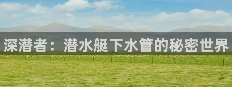 威九国际精