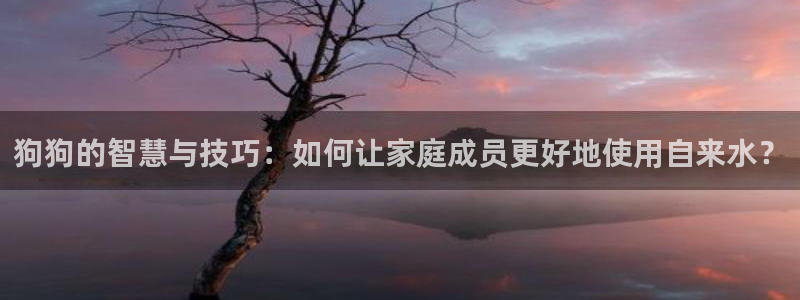 威九国际78mob官网版