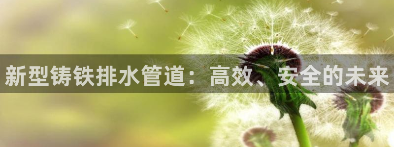 威九国际娜娜