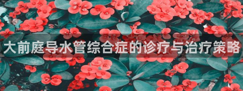 威九国际w98