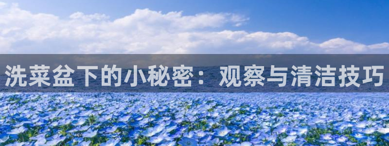 威九国际系列