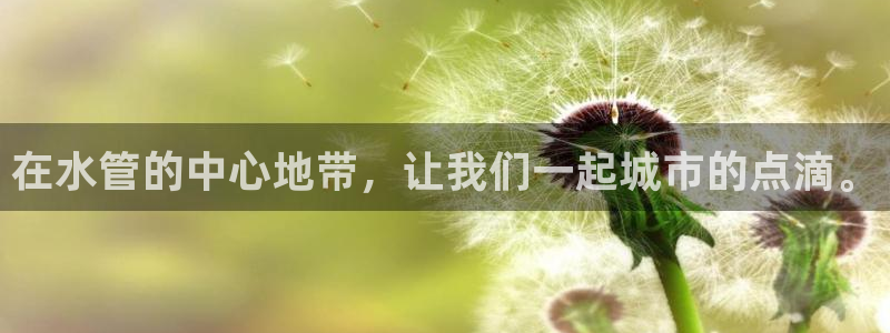 威九国际坑人的嘛