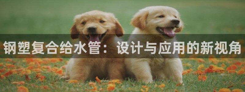 威九国际免费v5.5.2新版本特性
