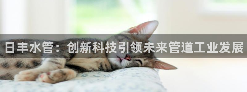 威九国际78mb玩法