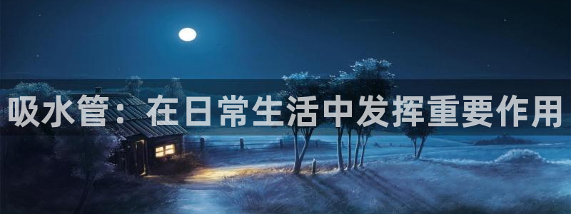 66m威九国际成长模式