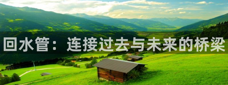 威九国际网站游戏